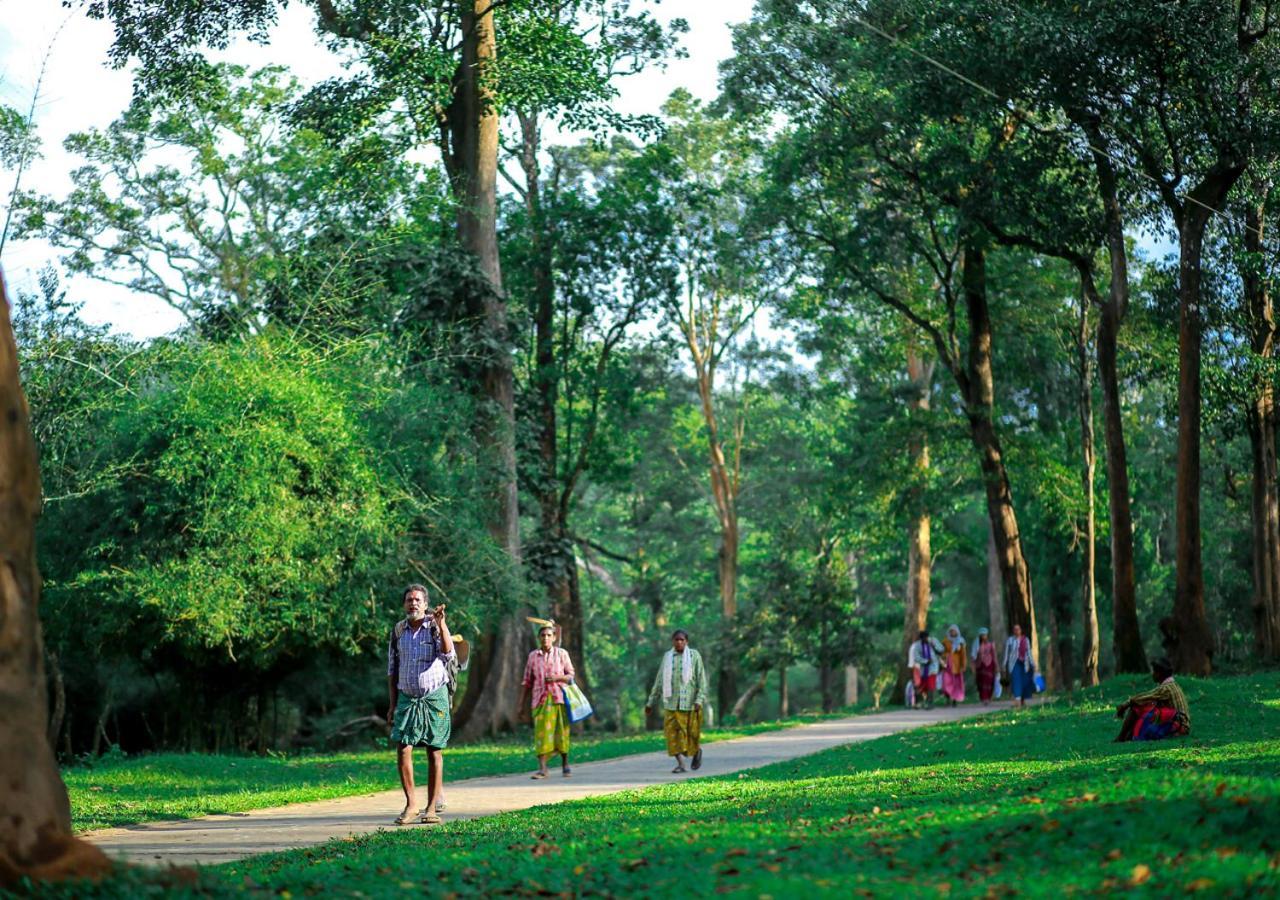 Tusker Inn Wayanad Forest Villa By Voye Homes ภายนอก รูปภาพ