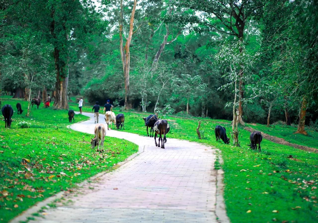 Tusker Inn Wayanad Forest Villa By Voye Homes ภายนอก รูปภาพ