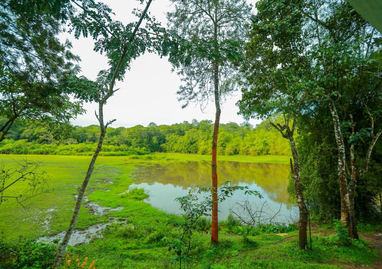 Tusker Inn Wayanad Forest Villa By Voye Homes ภายนอก รูปภาพ
